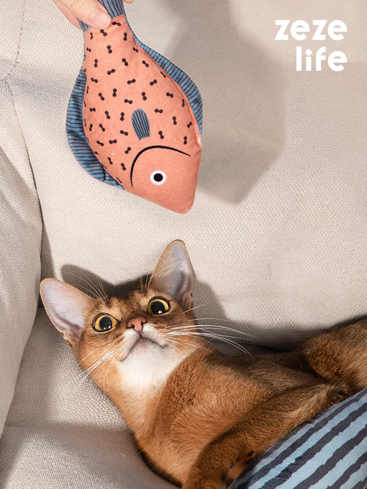 Cat Toy Fish Catnip Toy