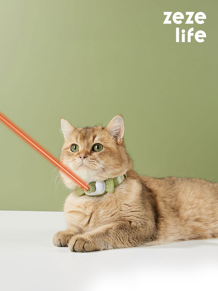 Candy Cat Laser Collar