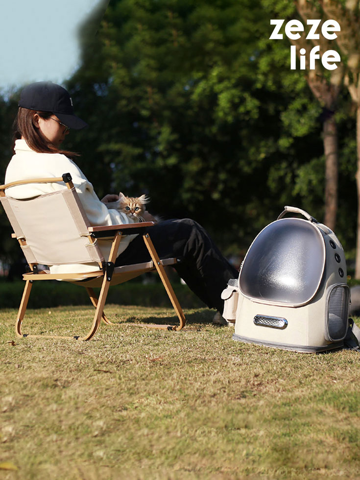 Frosted Semi-Transparent Cat Spaceship Backpack