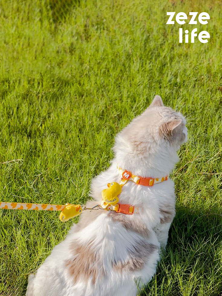 Duck Cat Harness and Leash