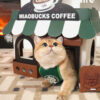 Café Cardboard Cat House