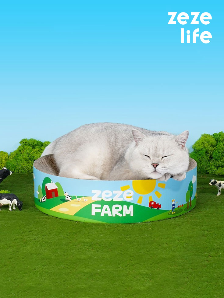 Double-Sided Cat Scratch Bowl