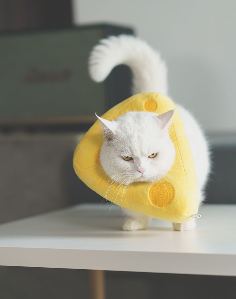 Cheese Cat Cone