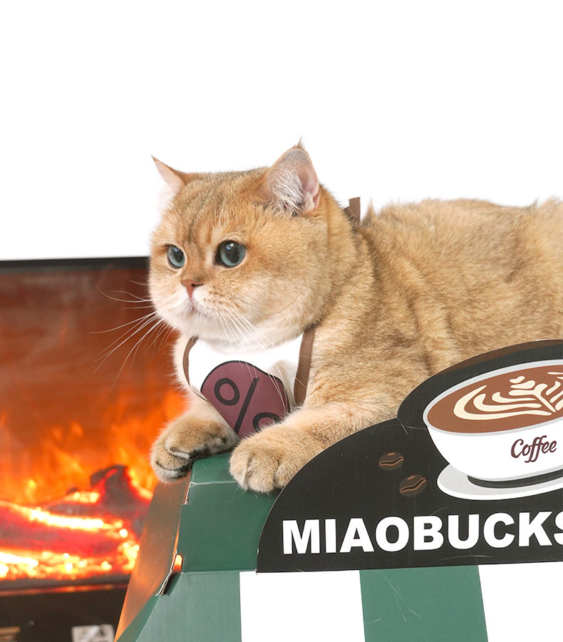 Café Cardboard Cat House