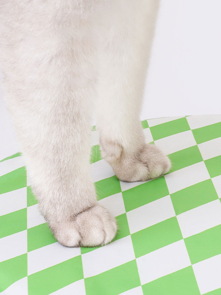 Checkerboard Pattern Pet Cooling Mat