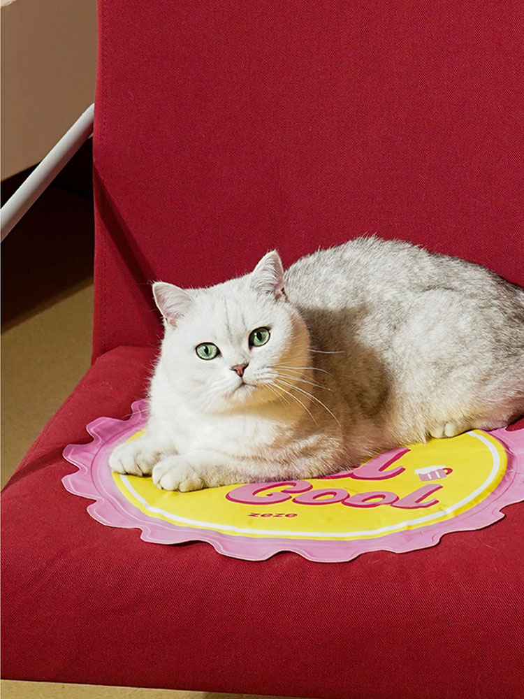 Beer Cap Cooling Mat For Cats