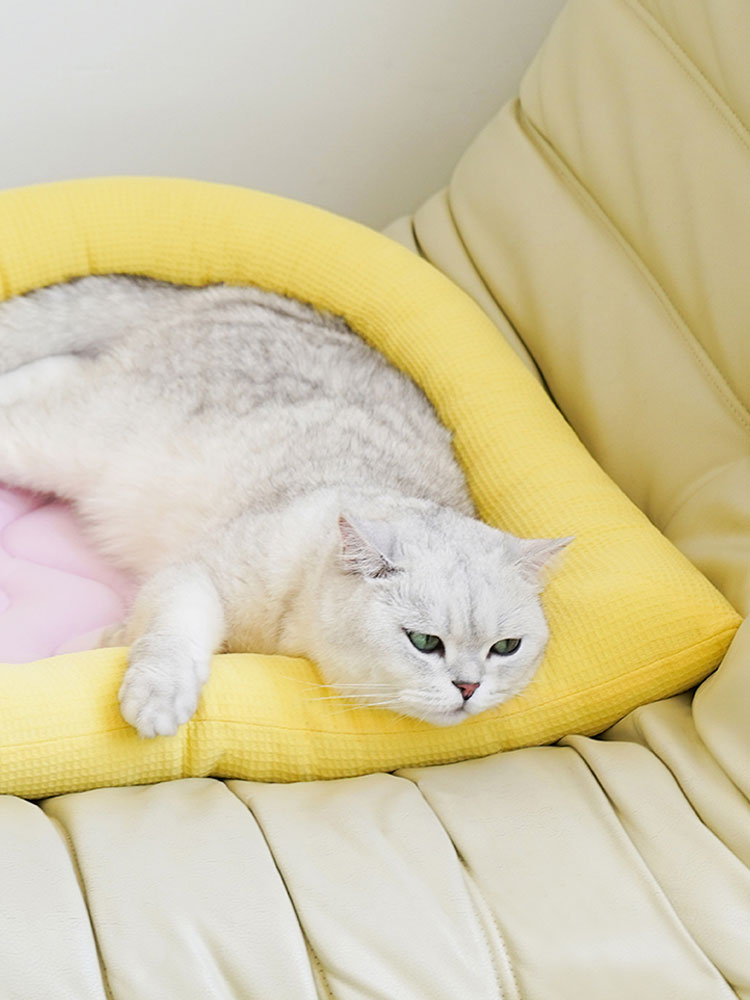 Childlike Cooling Cat Bed
