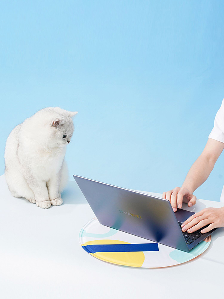 Modern-style Cooling Mat For Cats