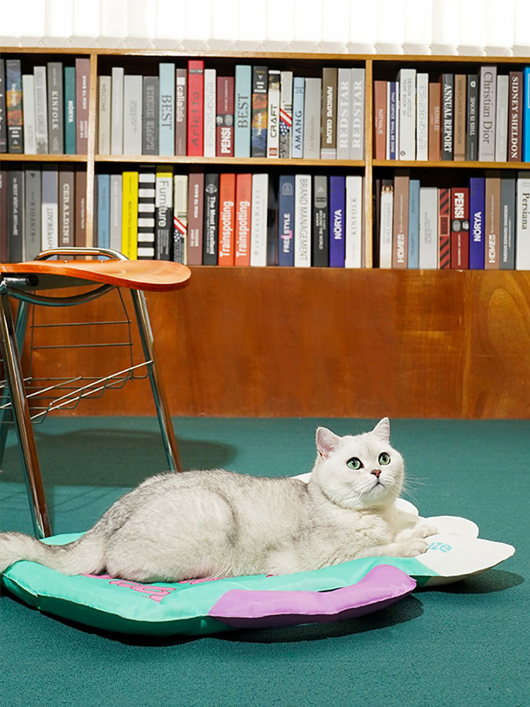 Colorful Beer Pet Cooling Mat
