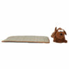 Lightning Cat & Dachshund Rushes Pet Cooling Mat