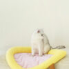 Childlike Cooling Cat Bed