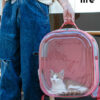 Square Clear Cat Carrier