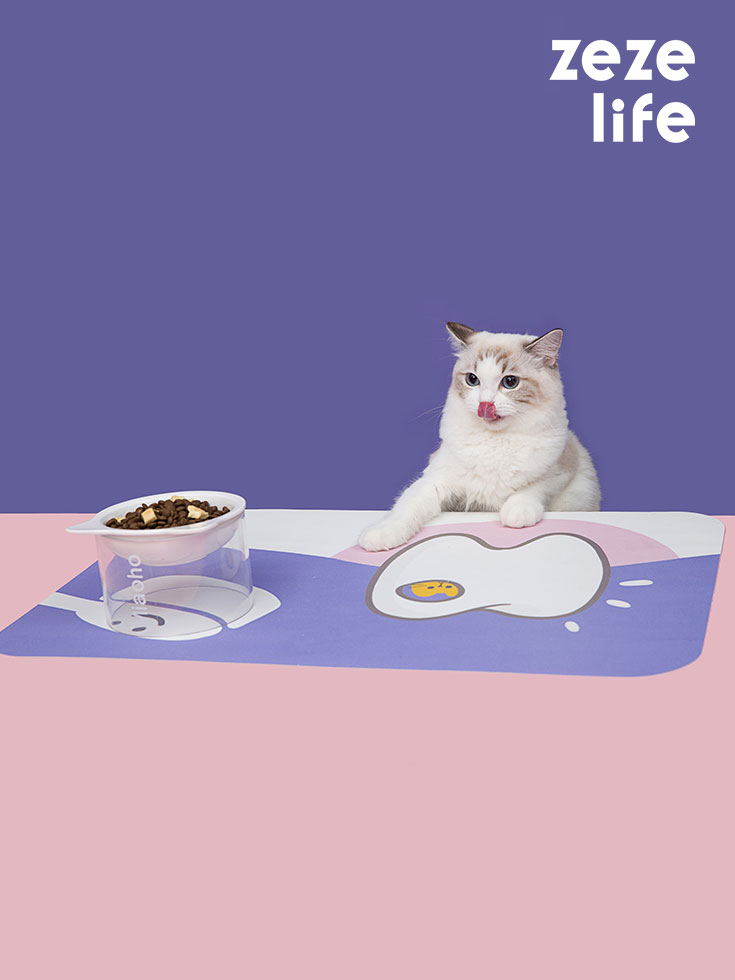 Cartoon Teeth Cat Food Mat