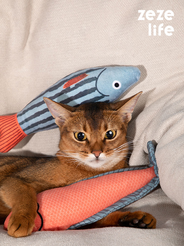 Cat Toy Fish Catnip Toy