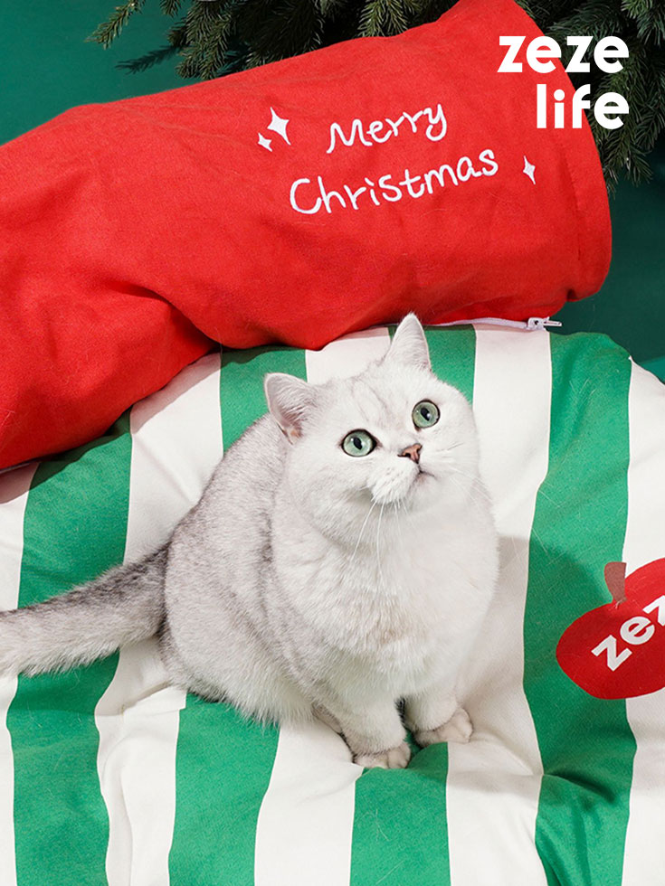 Glove Tunnel Cat Bed