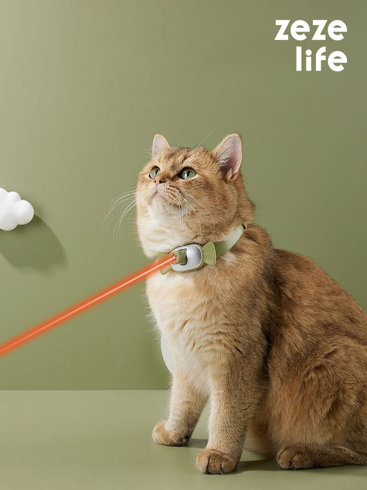 Candy Cat Laser Collar