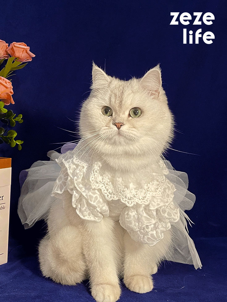 White Embroidered Princess-style Wedding Cat Dress