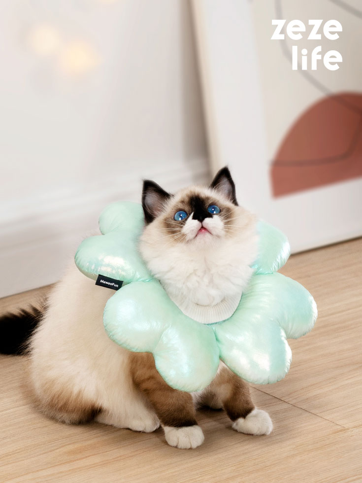 Laser Waterproof Cat Cone