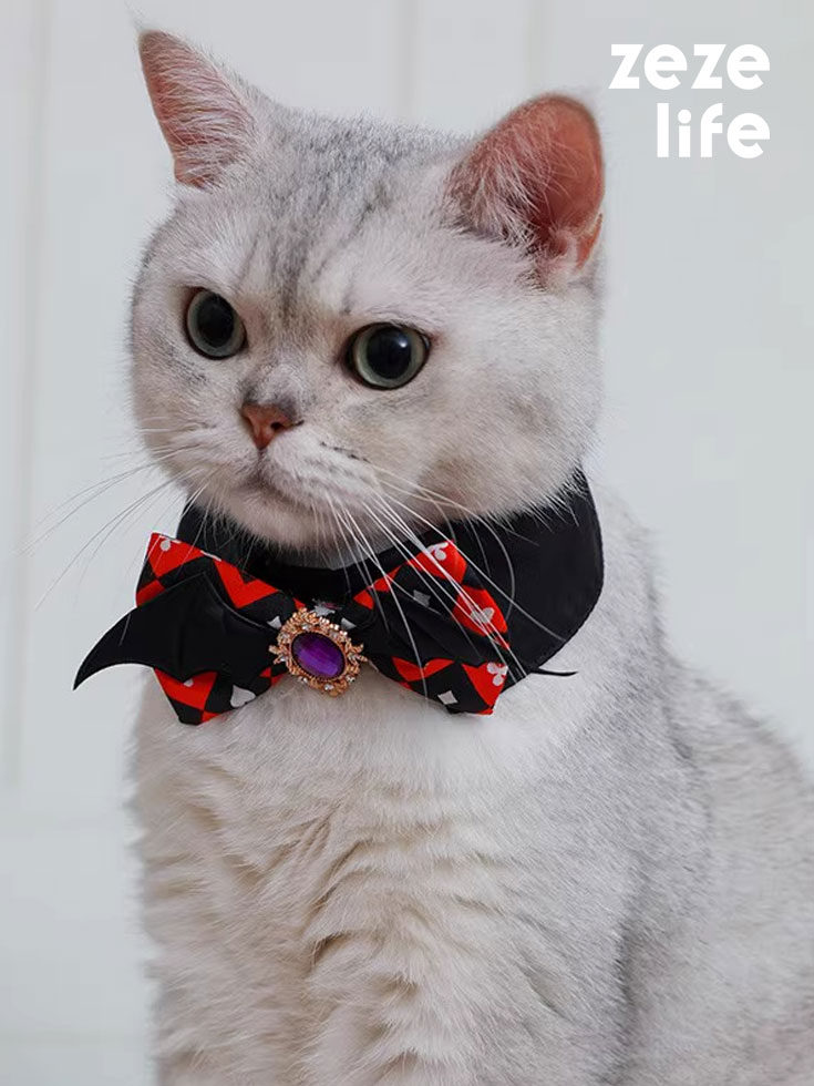Halloween Cat Collar
