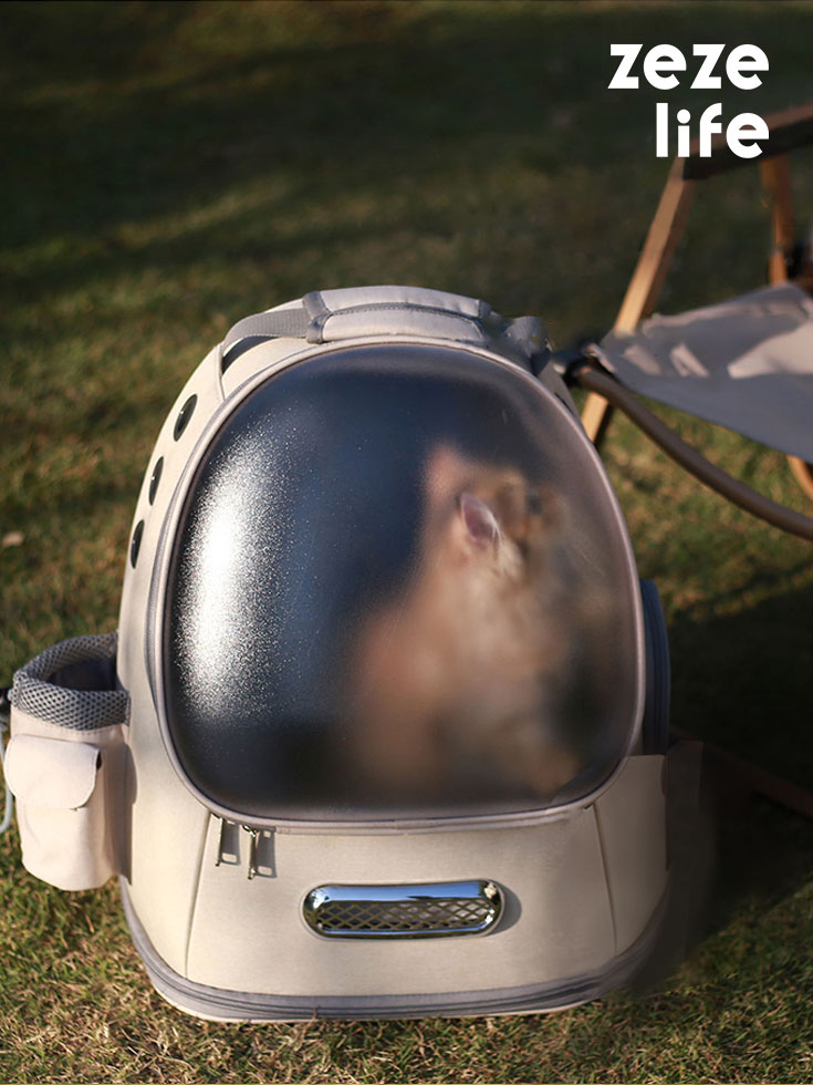 Frosted Semi-Transparent Cat Spaceship Backpack