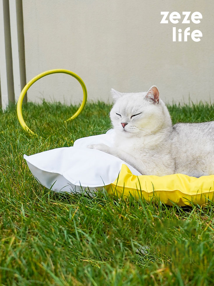 Beer-Shaped Pet Cooling Mat