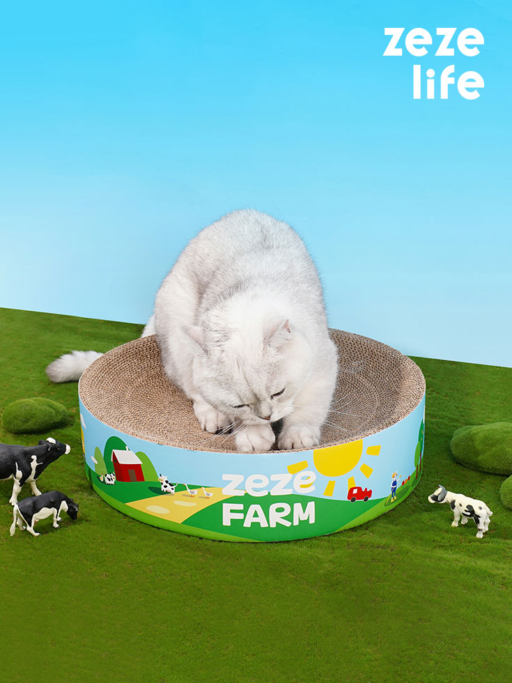 Double-Sided Cat Scratch Bowl