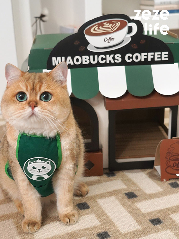 Café Cardboard Cat House