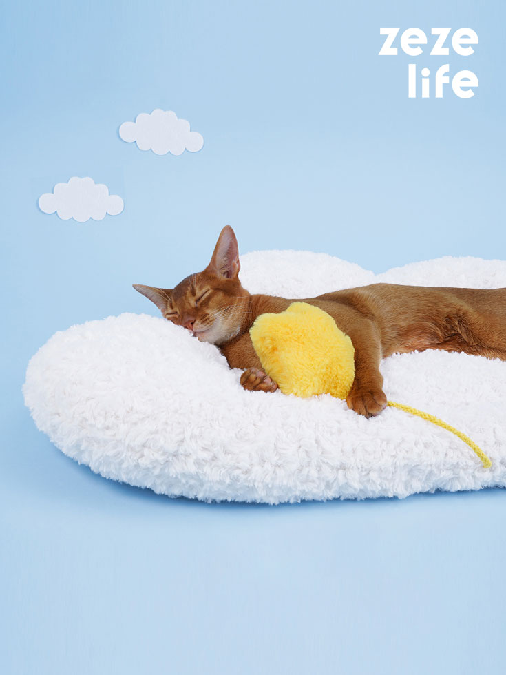Cloud Cat Bed