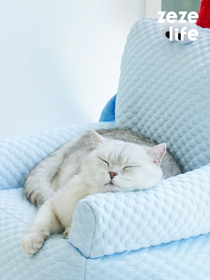 Big-Eyed Blue Hug Cat Couch