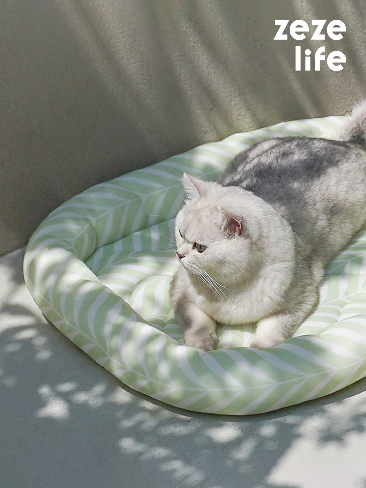 Nature-Inspired Cooling Mat for Cats
