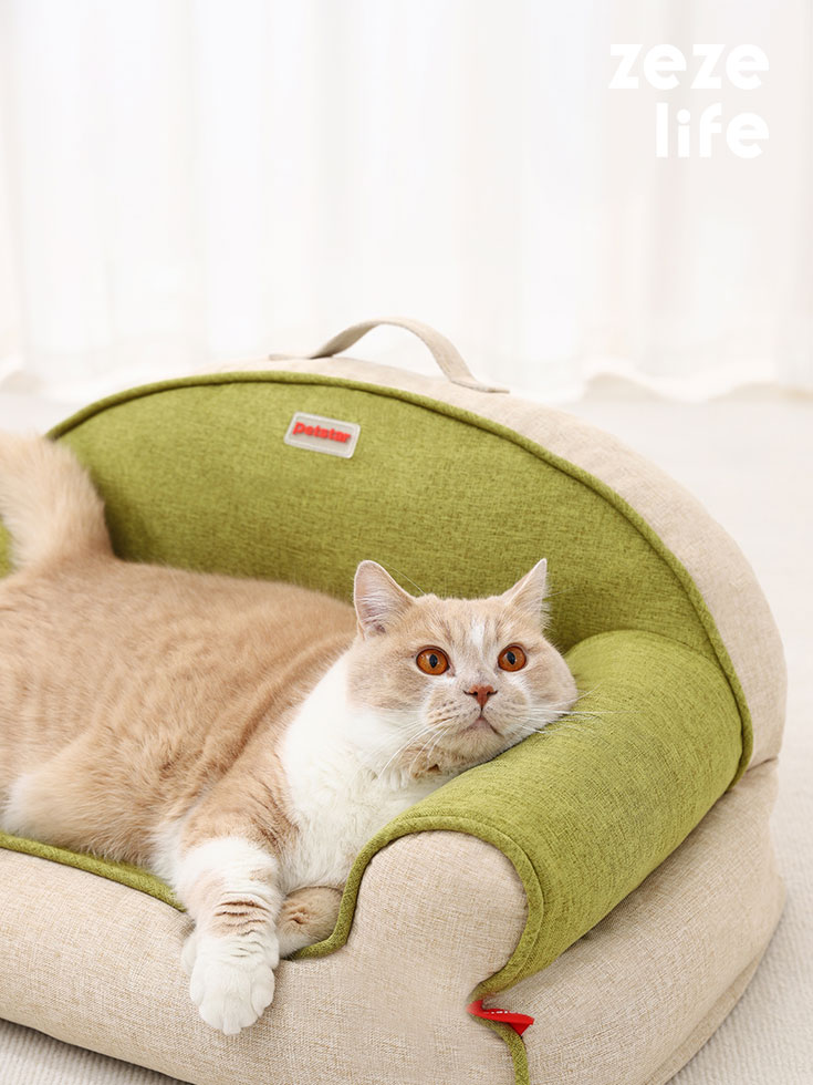 Innovative Mini Cat Couch