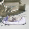 Nature-Inspired Cooling Mat for Cats