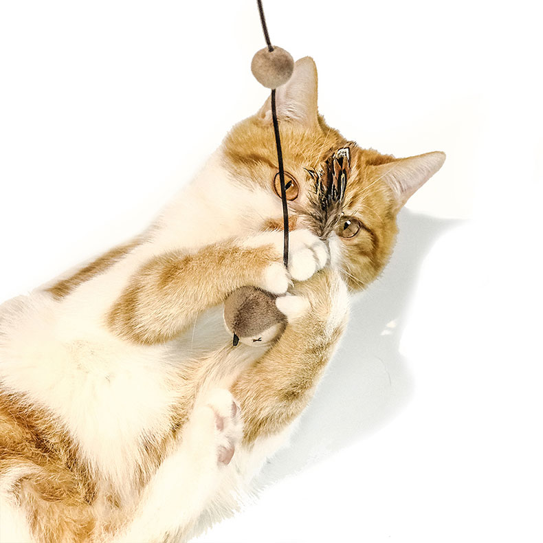 Elastic Cord Flying Bird Cat Toy