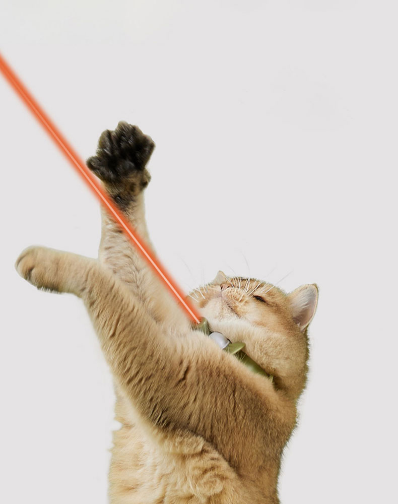 Candy Cat Laser Collar