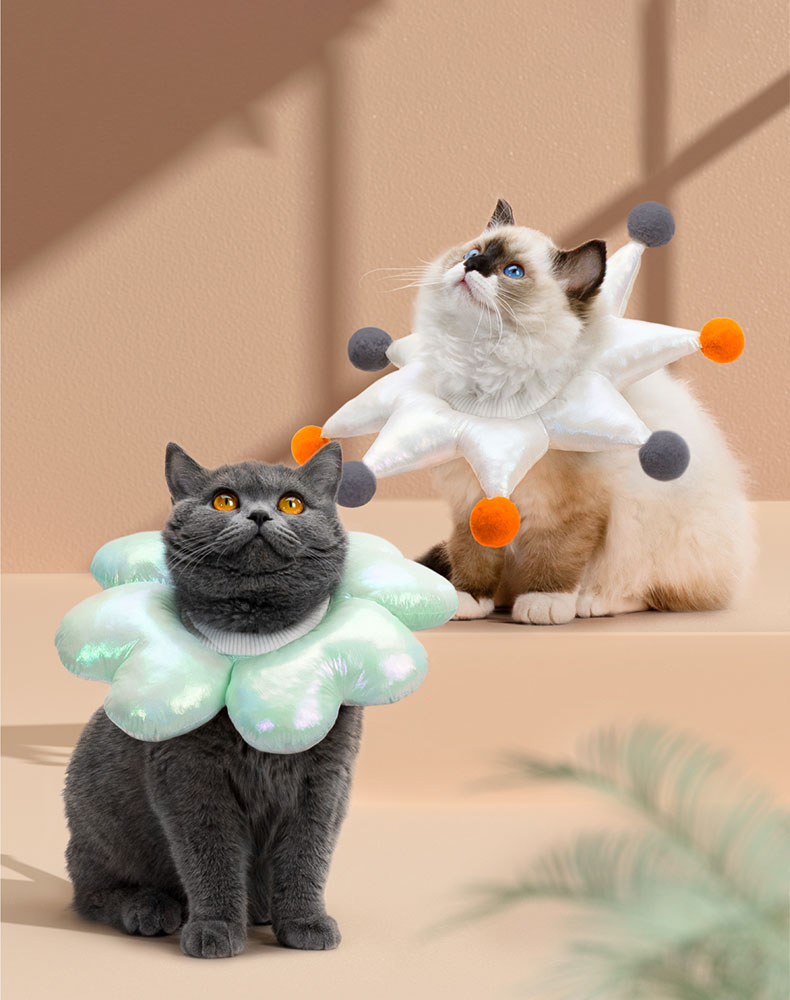 Laser Waterproof Cat Cone