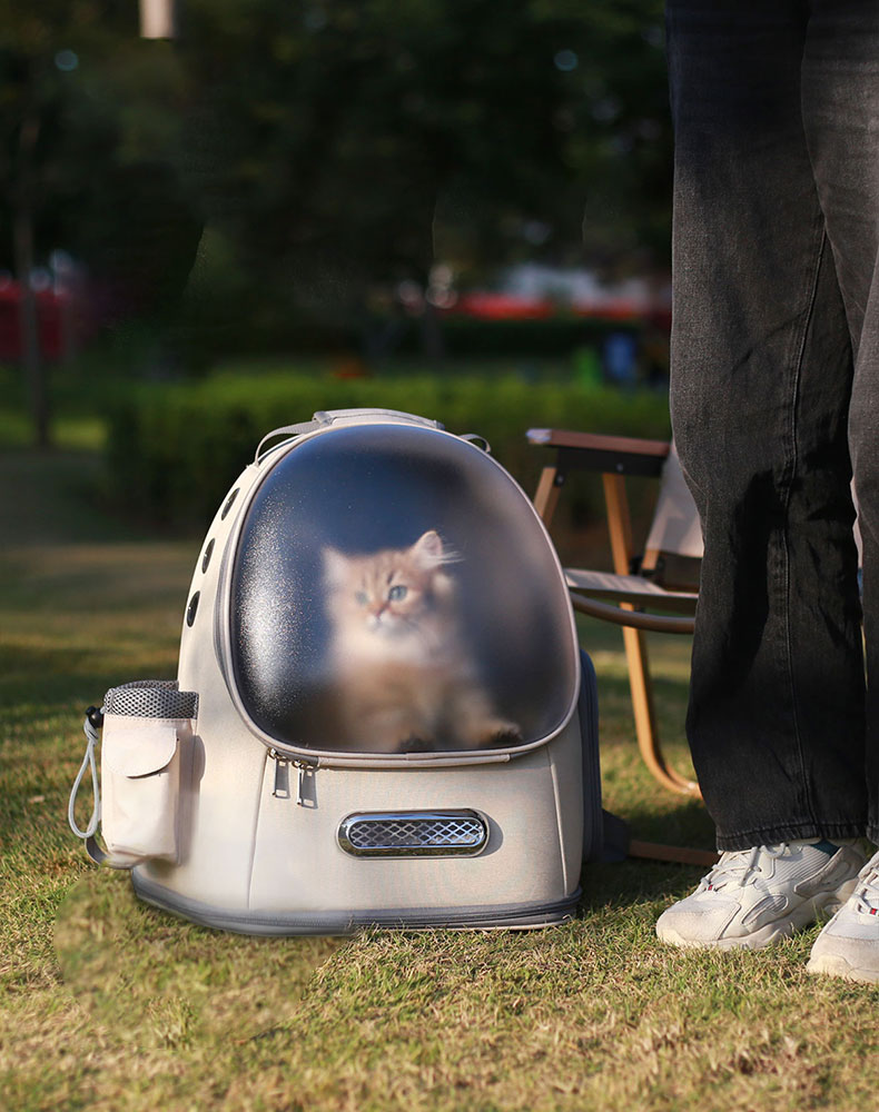 Frosted Semi-Transparent Cat Spaceship Backpack