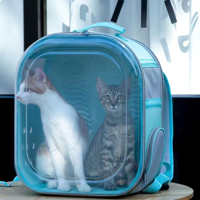 Square Clear Cat Carrier