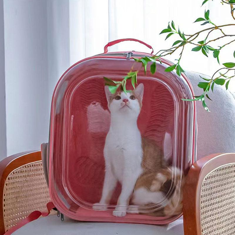 Square Clear Cat Carrier