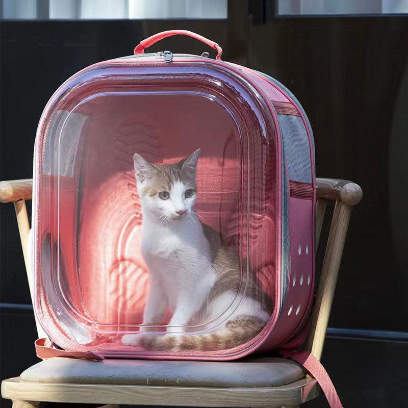 Square Clear Cat Carrier
