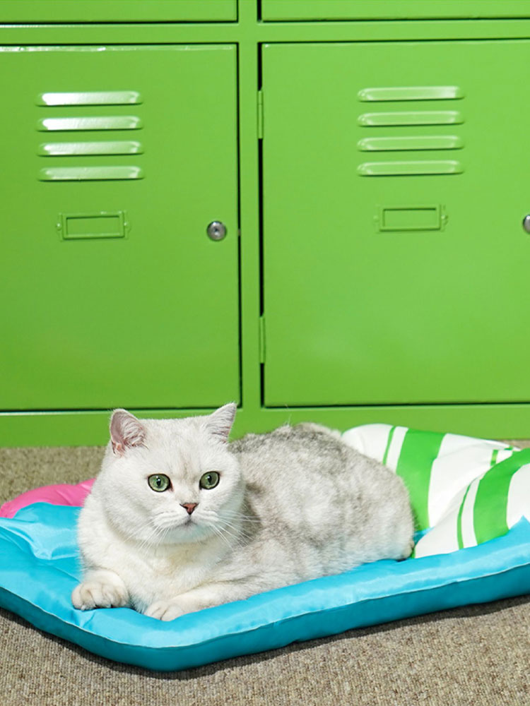 Colorful Beer Pet Cooling Mat