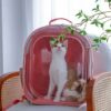 Square Clear Cat Carrier