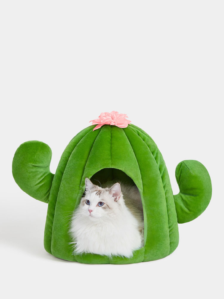 Cactus Mini Cat Bed