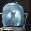 Square Clear Cat Carrier