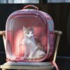 Square Clear Cat Carrier