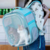 Square Clear Cat Carrier