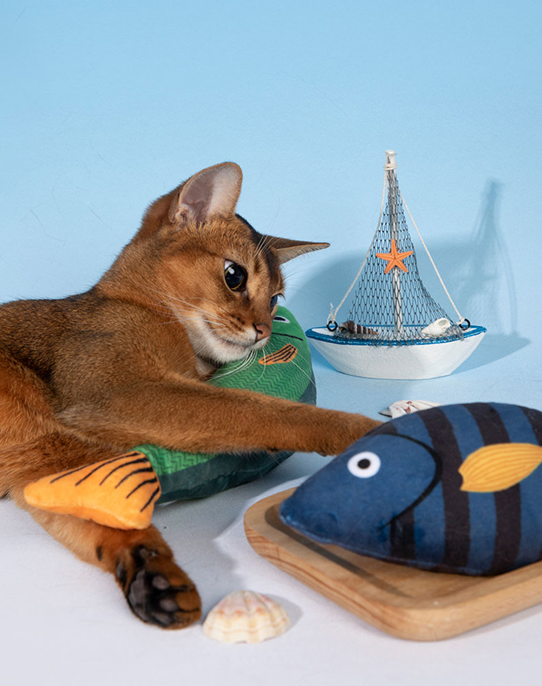 Cat Toy Fish Catnip Toy