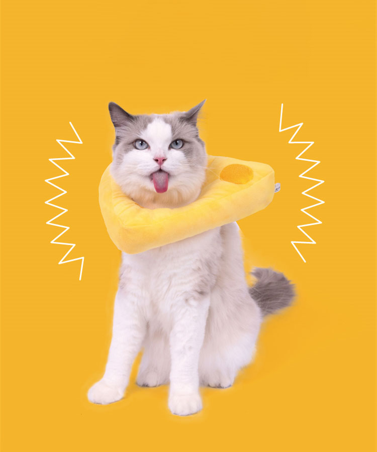 Cheese Cat Cone