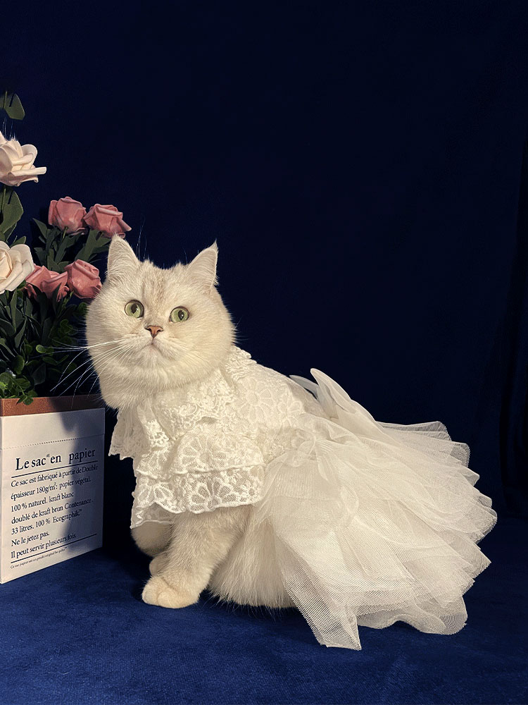 White Embroidered Princess-style Wedding Cat Dress