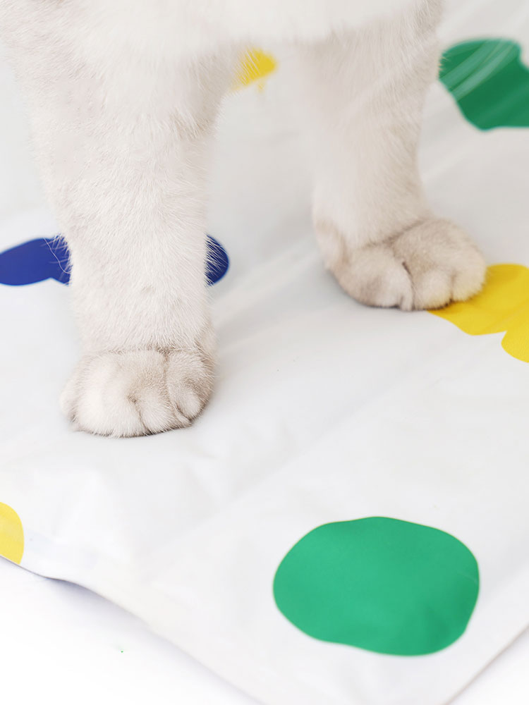 Colorful Candy Cooling Mat For Cats
