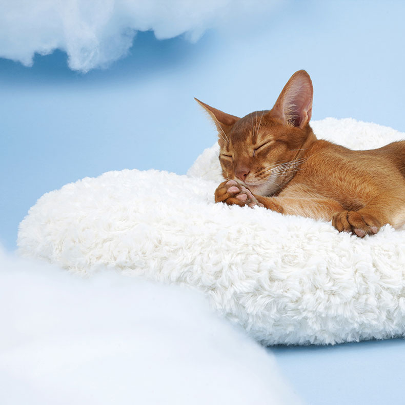Cloud Cat Bed